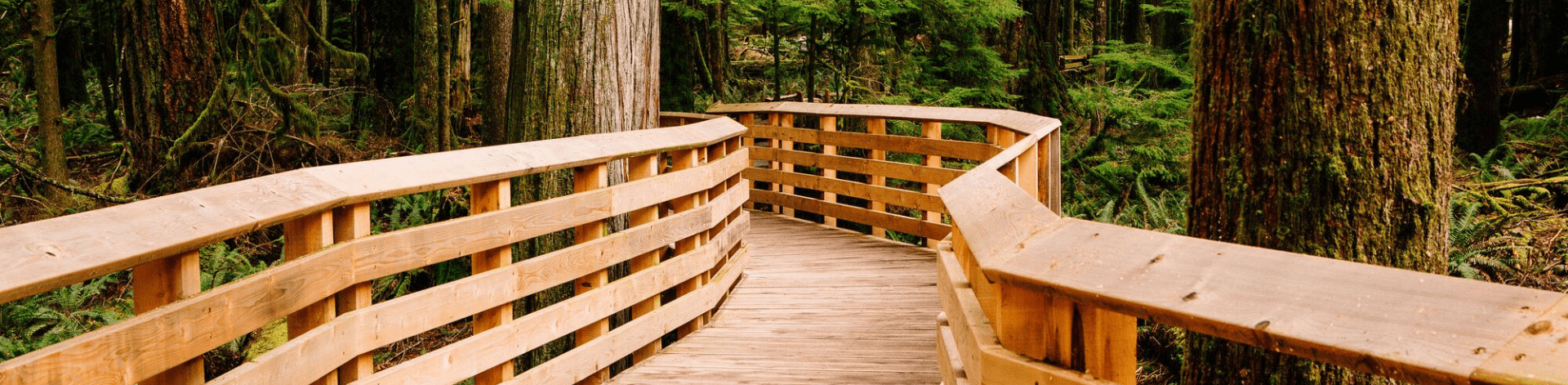 Con quale frequenza dovresti trattare il legno da esterno? Una guida
