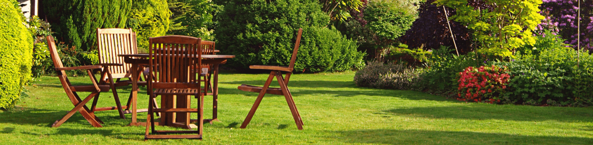 Come Trattare un Tavolo in Legno di Faggio