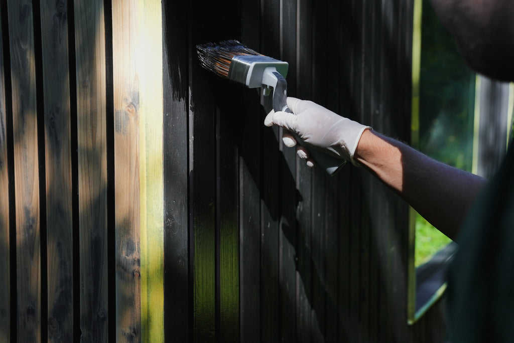 Pennelli per applicazione Anza