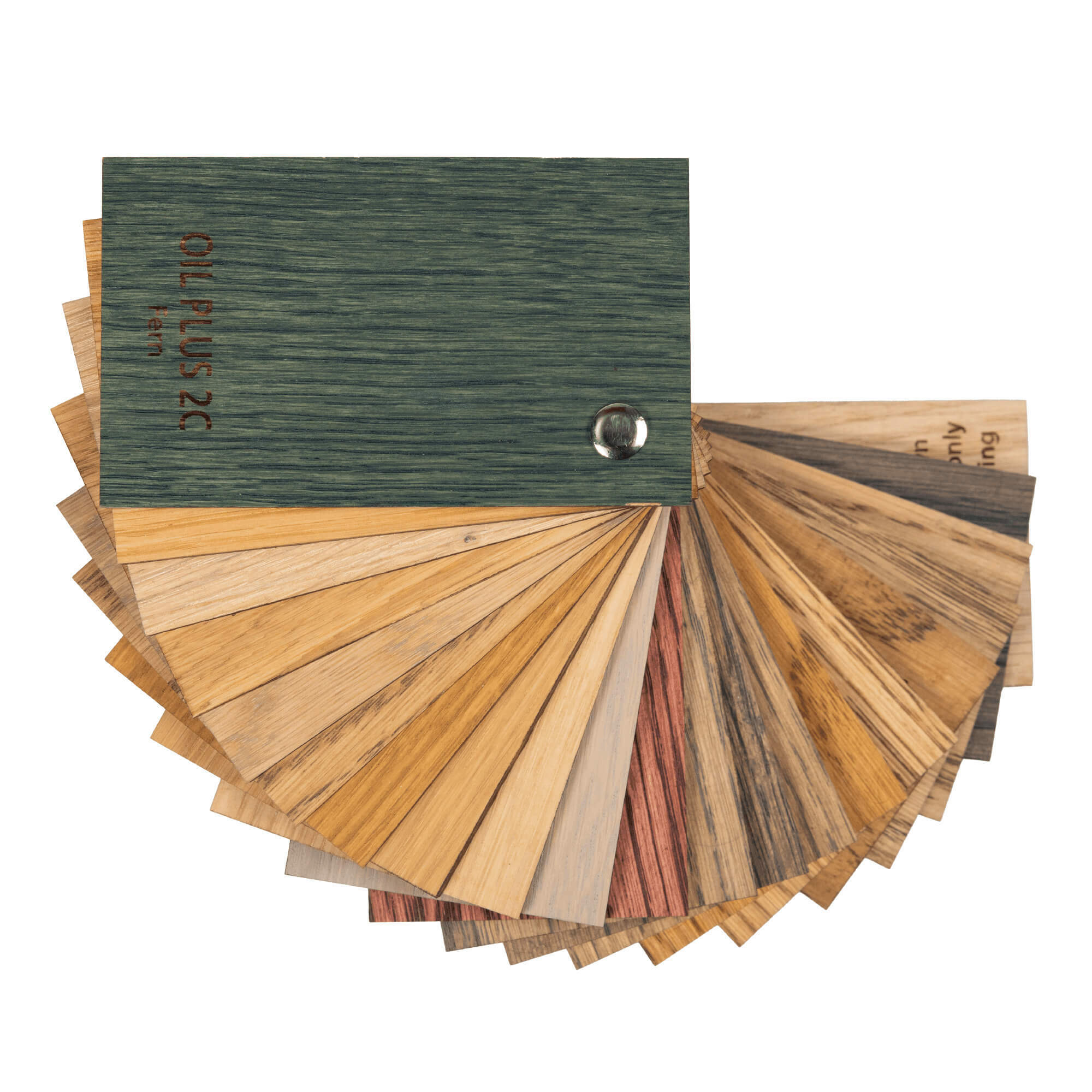 Oil Plus 2C Colour Fans